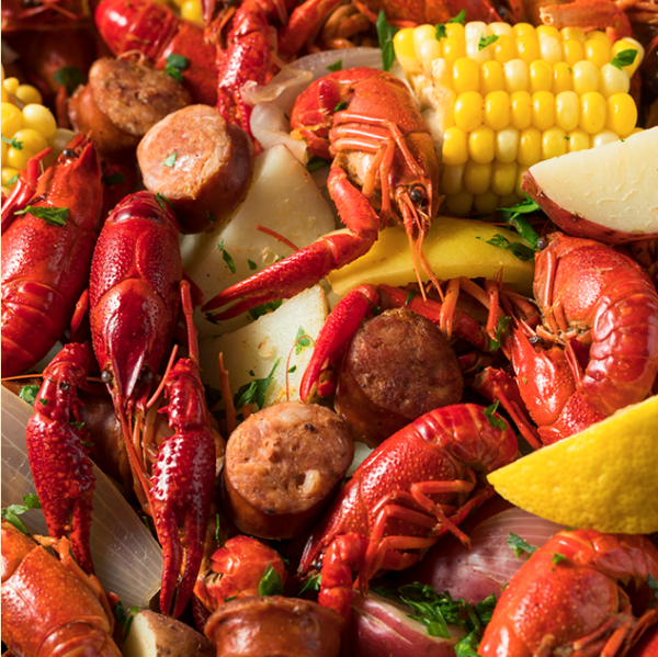 Experience Mr Shark S Gainesville Seafood Market In Pictures - y5uwjga